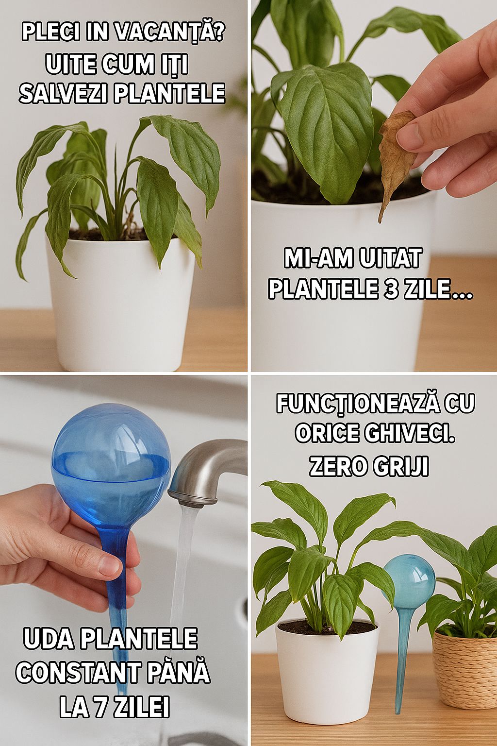 Globuri de udare pentru plante